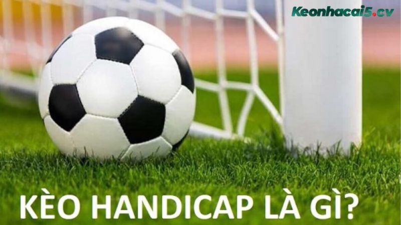 Kèo handicap là gì? Câu hỏi được nhiều người quan tâm khi mới tham gia cá độ Châu Á Kèo handicap là gì? Câu hỏi được nhiều người quan tâm khi mới tham gia cá độ Châu Á