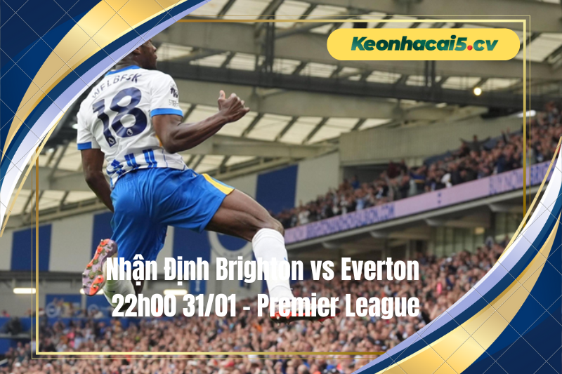 Đội hình dự kiến trước trận Brighton vs Everton Đội hình dự kiến trước trận Brighton vs Everton